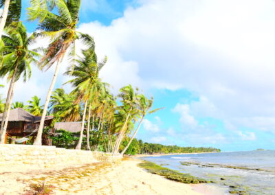 Side view of Kubo with the ocean and coconut trees